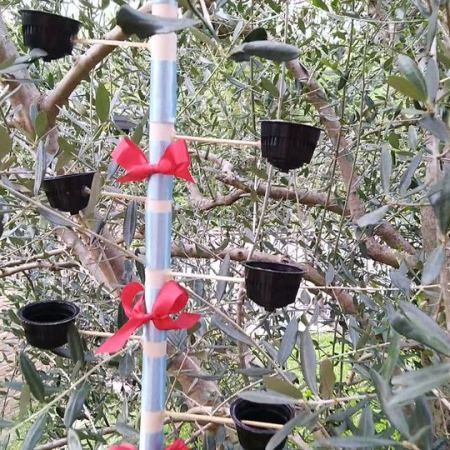 Mangiatoia da vecchie cialde