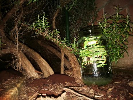 Barca di San Pietro - in giardino