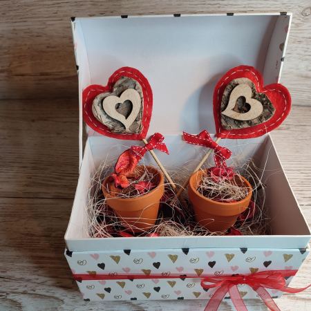 Fai crescere l'amore