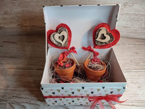 Fai crescere l'amore